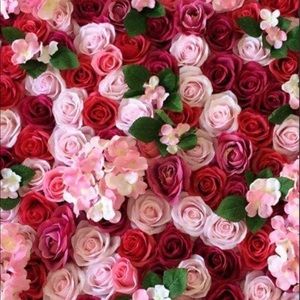 Meet your Posher, Mitra